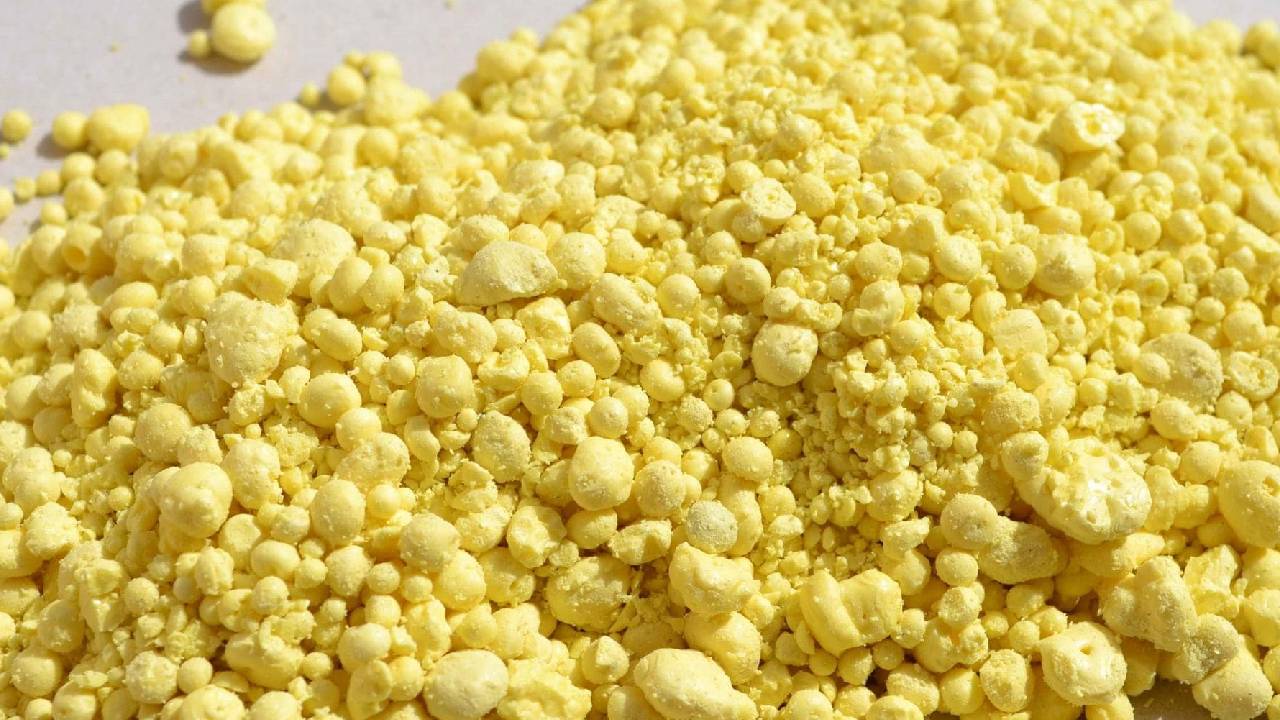 India Sulphur Export Restrictions Supply Crunch Iran War Middle East Disruption China Curbs Global Prices