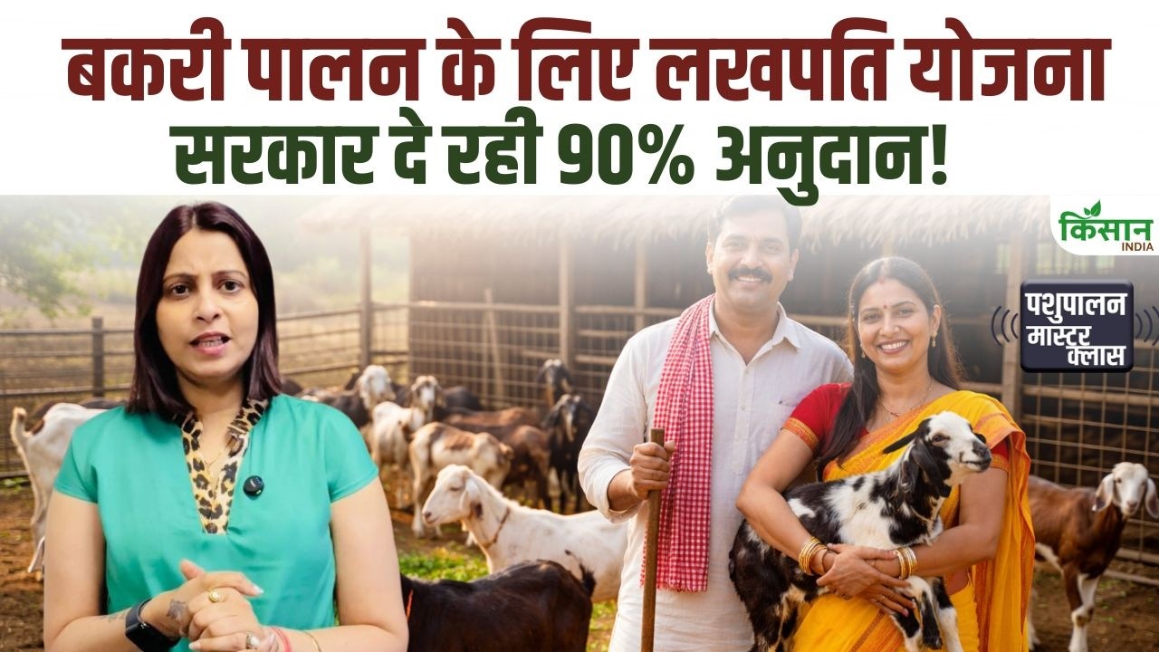 Goat Farming से बनें लखपति, 10 बकरियों पर 90 फीसदी सब्सिडी देकर सरकार किसानों को दे रही कमाई का मौका