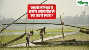 सामान्य से कम होती है बारिश तो खेती हो जाएगी मंहगी, किसानों को डीजल, बिजली पर मिलेगी सब्सिडी ?