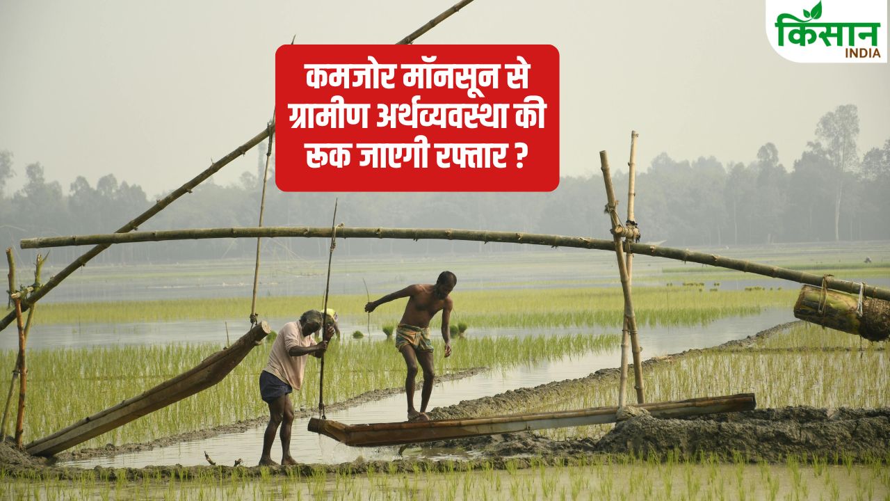 Imd Forecast Weak Monsoon Paddy Cultivation Affected Diesel Subsidy