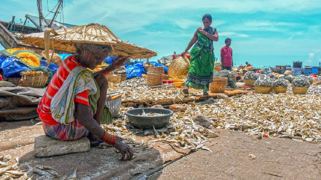 Extreme Heat Agriculture Impact Fao Wmo Report 2026 Global Food Security Livelihood Risk Crops Livestock Labour Stress