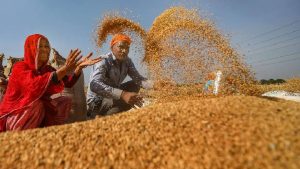 सरकार का दावा: चुनौतियों से भरा रहा 2025-26 गेहूं सीजन, फिर भी उत्पादन पर नहीं पड़ा बड़ा असर