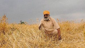 Report: बेमौसम बारिश से गेहूं की फसल को बड़ा नुकसान, 9 राज्यों के 111 जिलों में उत्पादन गिरावट तय