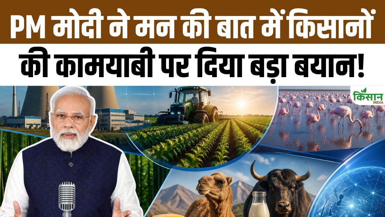Narendra Modi Mann Ki Baat 133rd Episode Special Message On Farmers Indian Food And Bamboo Farming