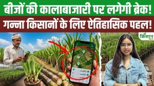 Sugarcane Farming में बड़ा बदलाव, सरकार का नया ऐप करेगा बीज वितरण पर निगरानी