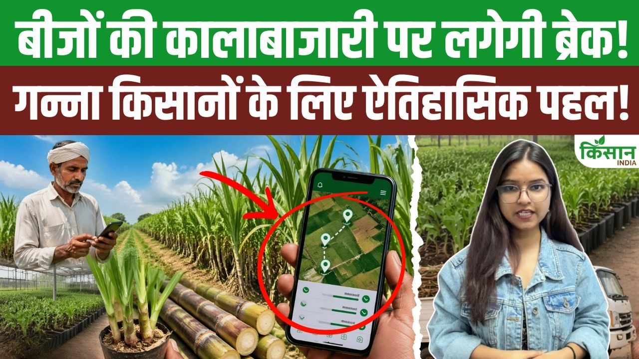 Major Change Sugarcane Farming Government New App Monitor Seed Distribution Directly Benefiting Farmers