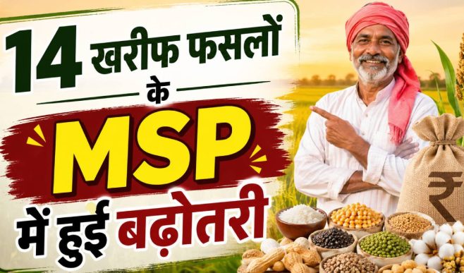 सूरजमुखी से लेकर कपास तक, 14 खरीफ फसलों का बढ़ा MSP…जानें किस फसल पर कितना बढ़ा दाम