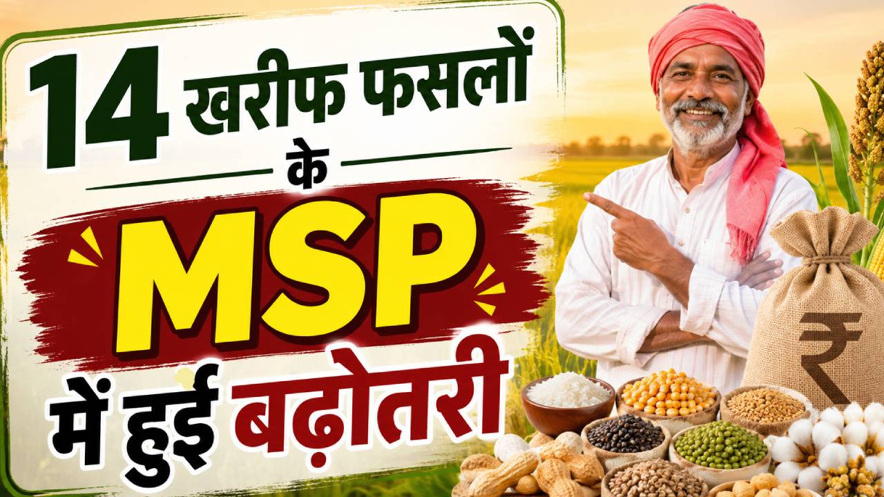 सूरजमुखी से लेकर कपास तक, 14 खरीफ फसलों का बढ़ा MSP…जानें किस फसल पर कितना बढ़ा दाम
