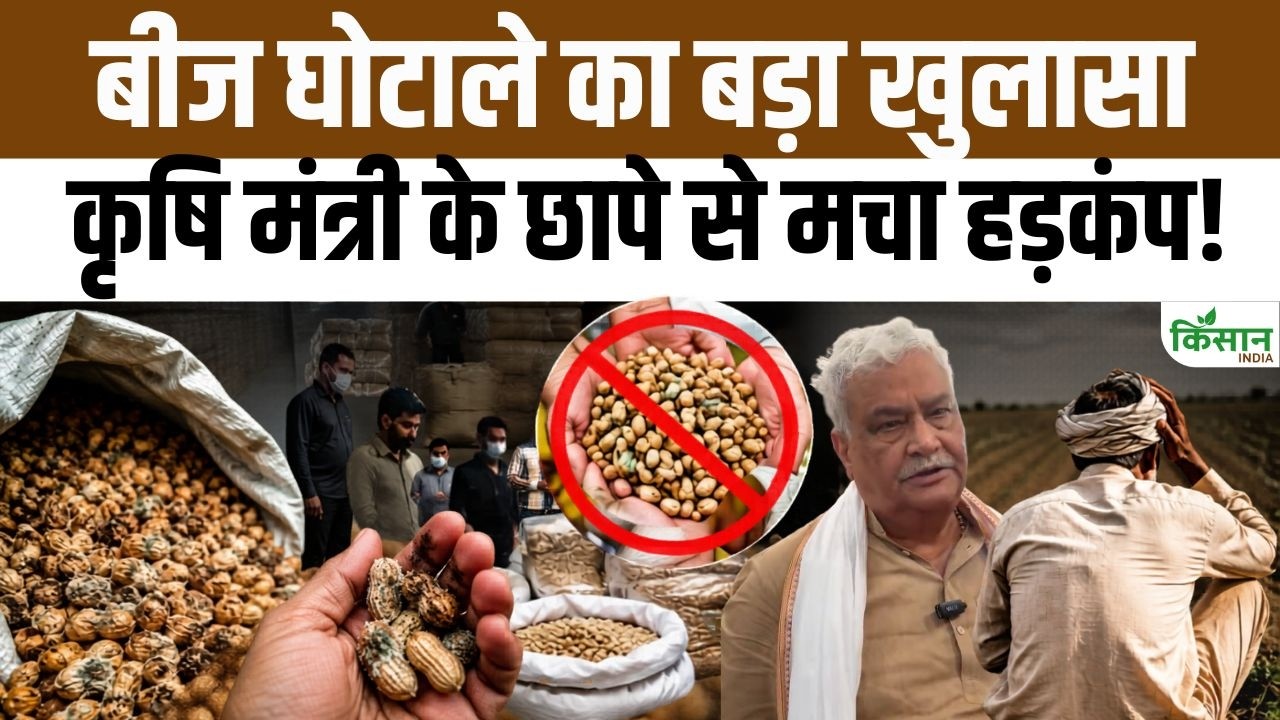 Major Action Against Fake Seed Trade Rajasthan Agriculture Minister Raids Create Panic Among Seed Mafia