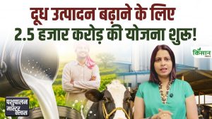 Kamdhenu Yojana: मध्य प्रदेश में 2500 करोड़ की डेयरी क्रांति, पशुपालकों की बढ़ने लगी कमाई