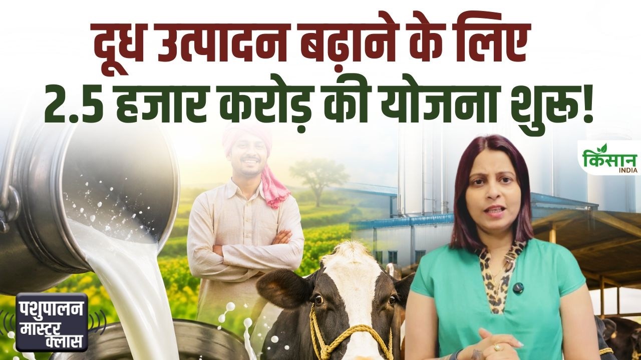 Kamdhenu Yojana Madhya Pradesh With Rs 2500 Crore Dairy Revolution Income Of Livestock Farmers
