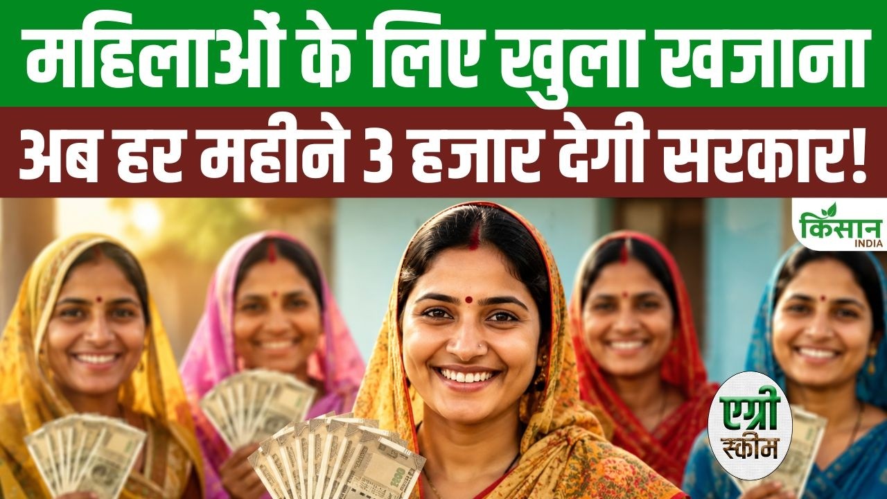 From June 1 Women Receive Rs 3000 Per Month Annapurna Bhandaar Scheme Boost Their Economic Strength