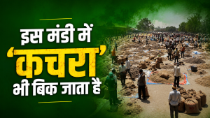 अनोखी मंडी जहां फूल-कांटे-जड़ समेत पौधे का हर हिस्सा बिकता है, 2 लाख रुपये मिलता है भाव अनोखी मंडी जहां फूल-कांटे-जड़ समेत पौधे का हर हिस्सा बिकता है, 2 लाख रुपये मिलता है भाव