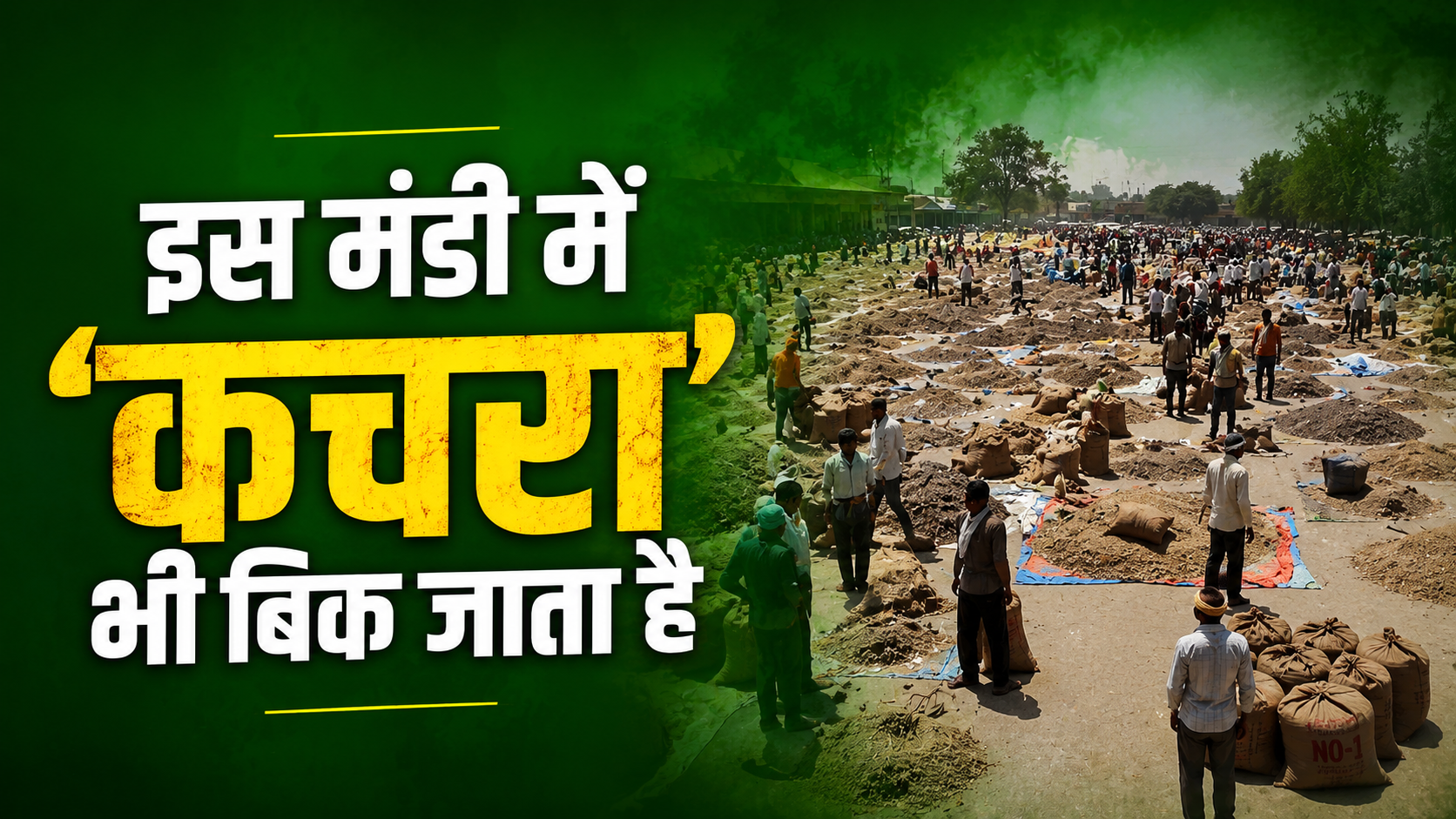 Madhya Pradesh Neemuch Herbal Mandi Where Plant Flowers Thorns And Roots Is Sold Prices Fetch Up To Rs 2 Lakh
