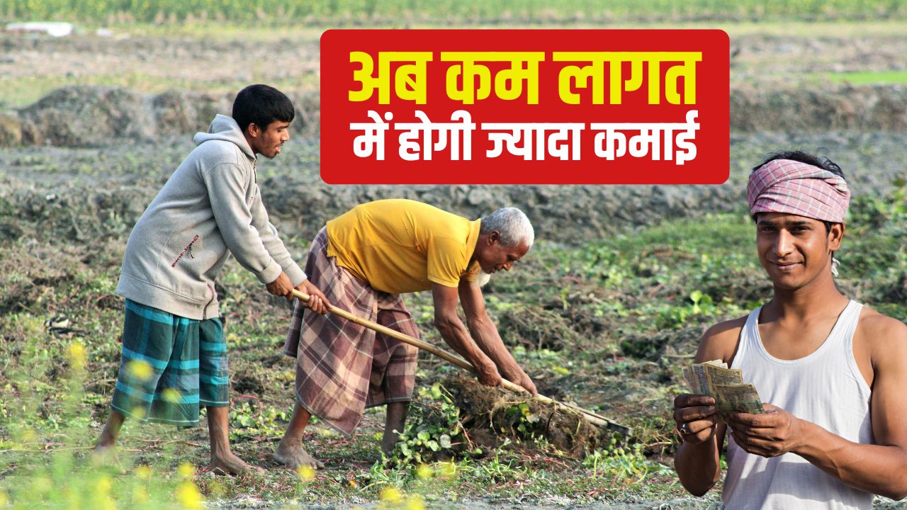 Crop Diversification Professor Jayashankar Telangana Agricultural University Has Submitted A Policy Paper To The Government