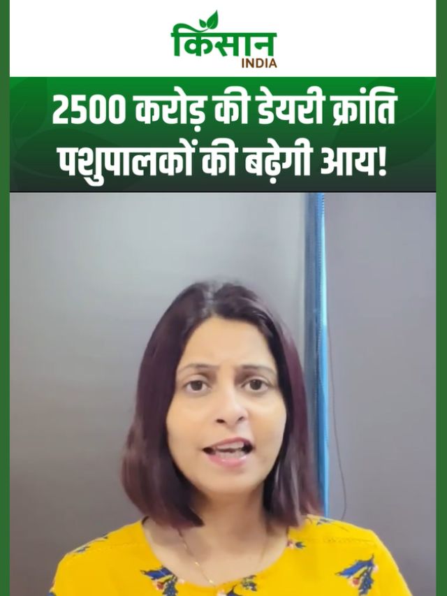 Dr. Bhimrao Ambedkar Kamdhenu Yojana: 2500 करोड़ की डेयरी क्रांति, पशुपालकों की बढ़ेगी आय