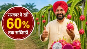 विदेशी फल ने बदली किसानों की किस्मत, बन गए लखपति.. सरकार दे रही 60 फीसदी सब्सिडी विदेशी फल ने बदली किसानों की किस्मत, बन गए लखपति.. सरकार दे रही 60 फीसदी सब्सिडी