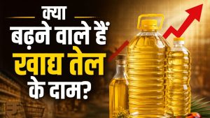 खाद्य तेल हो सकता है महंगा! सरकार इंपोर्ट ड्यूटी बढ़ाने पर कर रही विचार, रसोई बजट पर पड़ सकता है असर खाद्य तेल हो सकता है महंगा! सरकार इंपोर्ट ड्यूटी बढ़ाने पर कर रही विचार, रसोई बजट पर पड़ सकता है असर