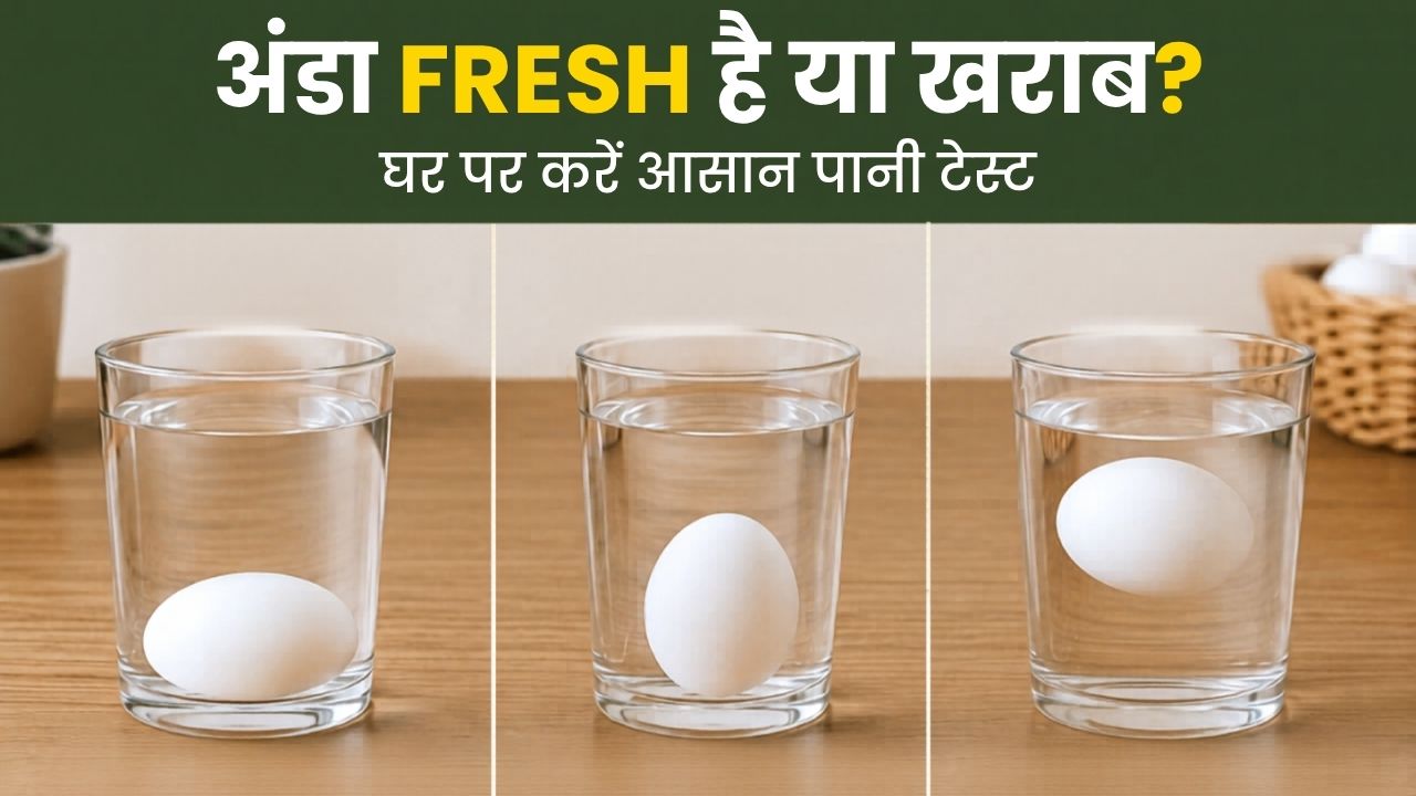 Fssai Egg Freshness Water Test How To Check Rotten Or Fresh Eggs At Home With Easy Kitchen Safety Tips