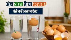 Tips and Tricks: अंडा ताजा है या खराब? सोशल मीडिया के हर फूड मिथ पर न करें भरोसा, ऐसे मिनटों में करें पहचान
