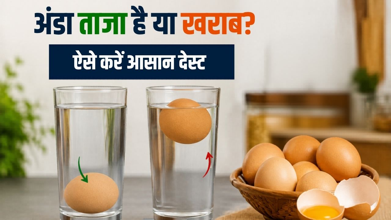 Tips And Tricks Fssai Test To Check Egg Purity How To Checj Freshness Of Eggs At Home