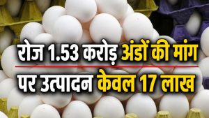 भीषण गर्मी में भी अंडा हुआ महंगा, कीमत में भारी बढ़ोतरी.. अब 6.67 रुपये पीस रेट भीषण गर्मी में भी अंडा हुआ महंगा, कीमत में भारी बढ़ोतरी.. अब 6.67 रुपये पीस रेट