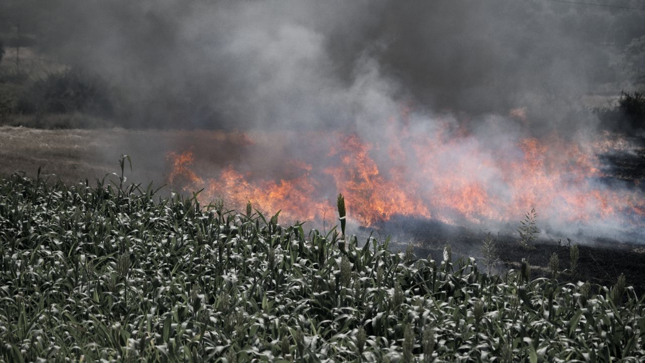 How To Prevent Crop Loss From Farm Fires Increase During Summer Kheton Me Aag Lagne Ke Karan