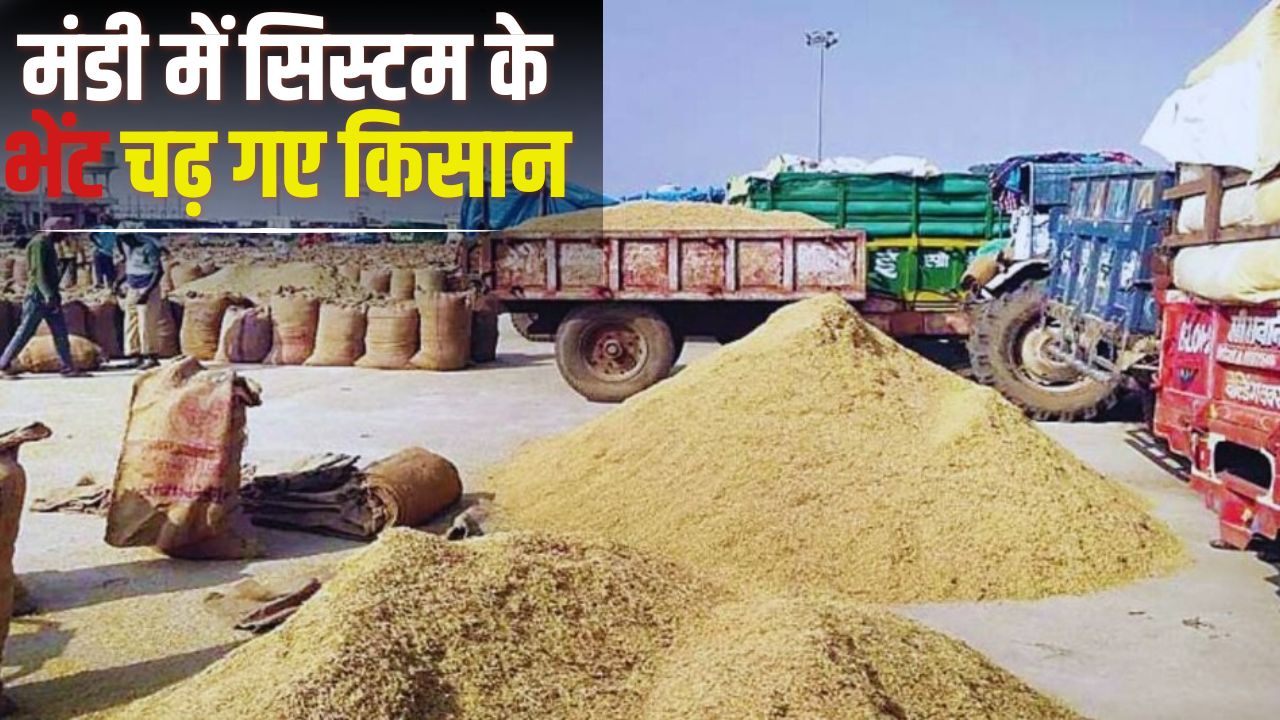 Telangana Paddy Market 2 Farmers Killed Heatwave And Lightning