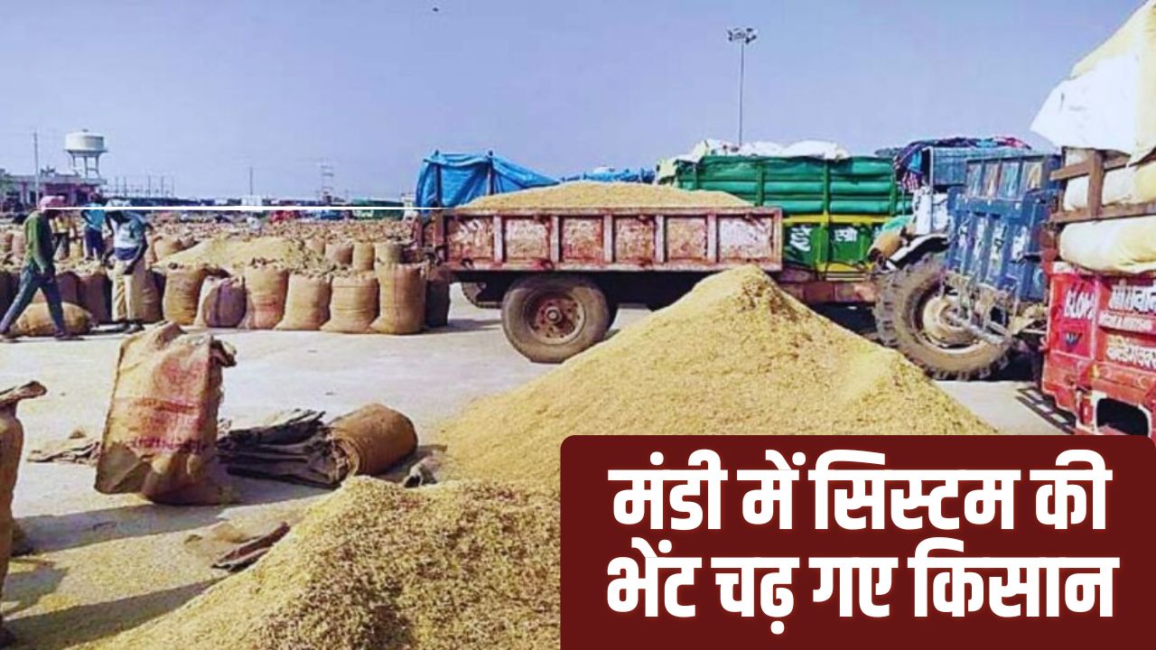 Telangana Paddy Market 2 Farmers Killed Heatwave And Lightning