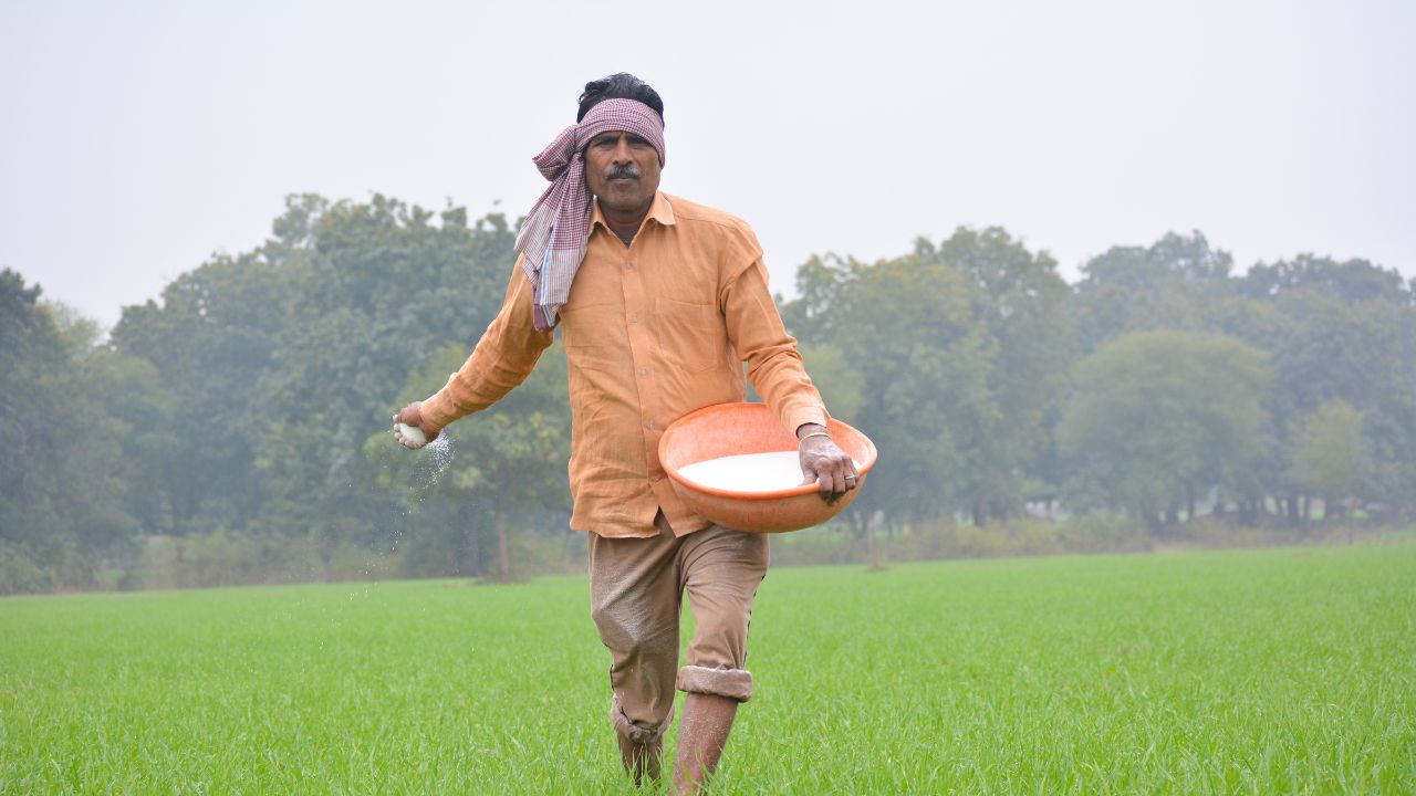 Fertilizer Shortage Risk For Rabi Season 2026 India Despite Strong Kharif Stock Urea Dap Demand Global Supply Crisis