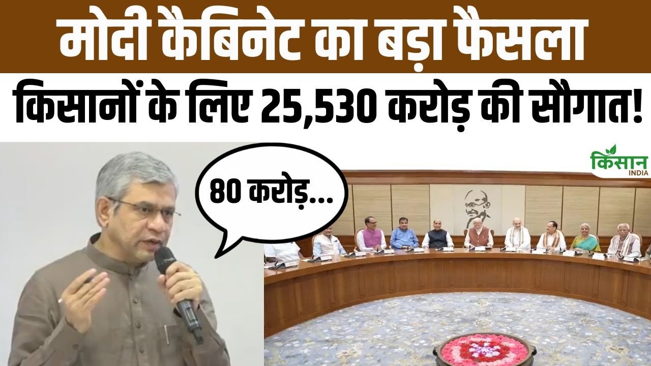 Modi Cabinet Approves Major Scheme Worth Rs 25530 Crore 80 Crore People Get Direct Benefit