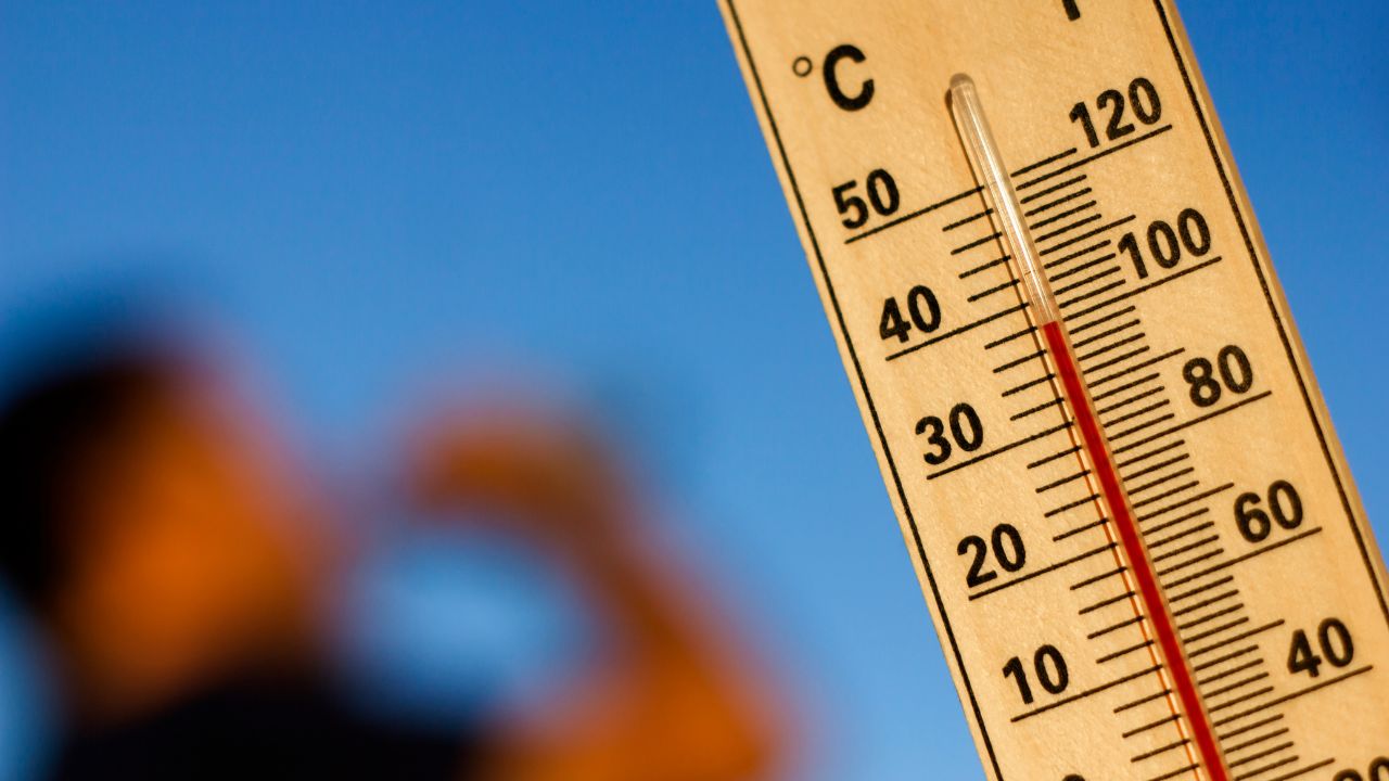 Heatwave Safety Tips For Farmers How To Protect Yourself Livestock From Extreme Summer Loo