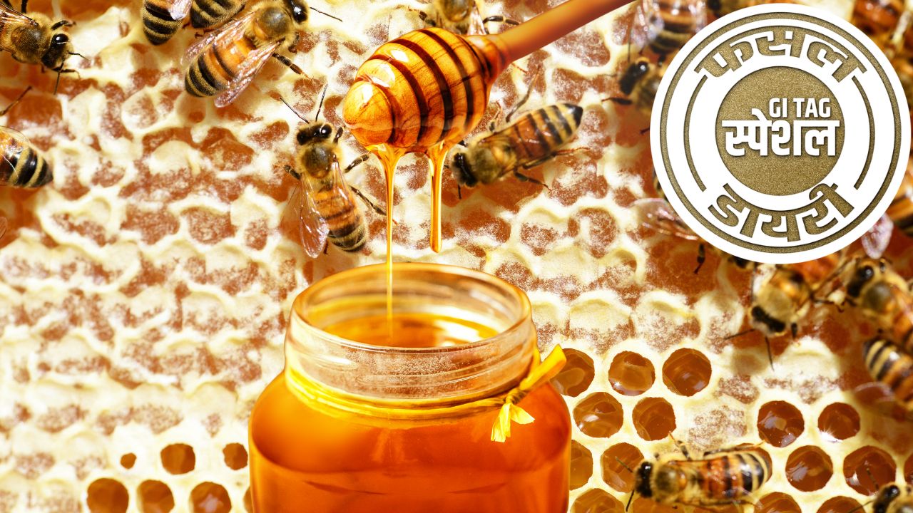 Ramban Sulai Honey Is Famous All Over The World Honey Production Specialties