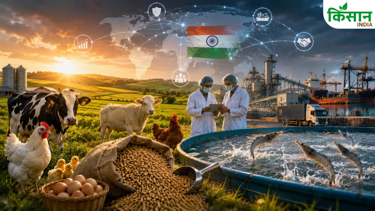 Divya Kumar Gulati On India Livestock Feed Industry Global Crisis Fta Shrimp Export Clfma