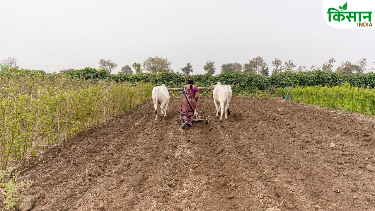 Maharashtra Farmers Loan Cibil Score Waiver Kisan Relief Fadnavis Announcement