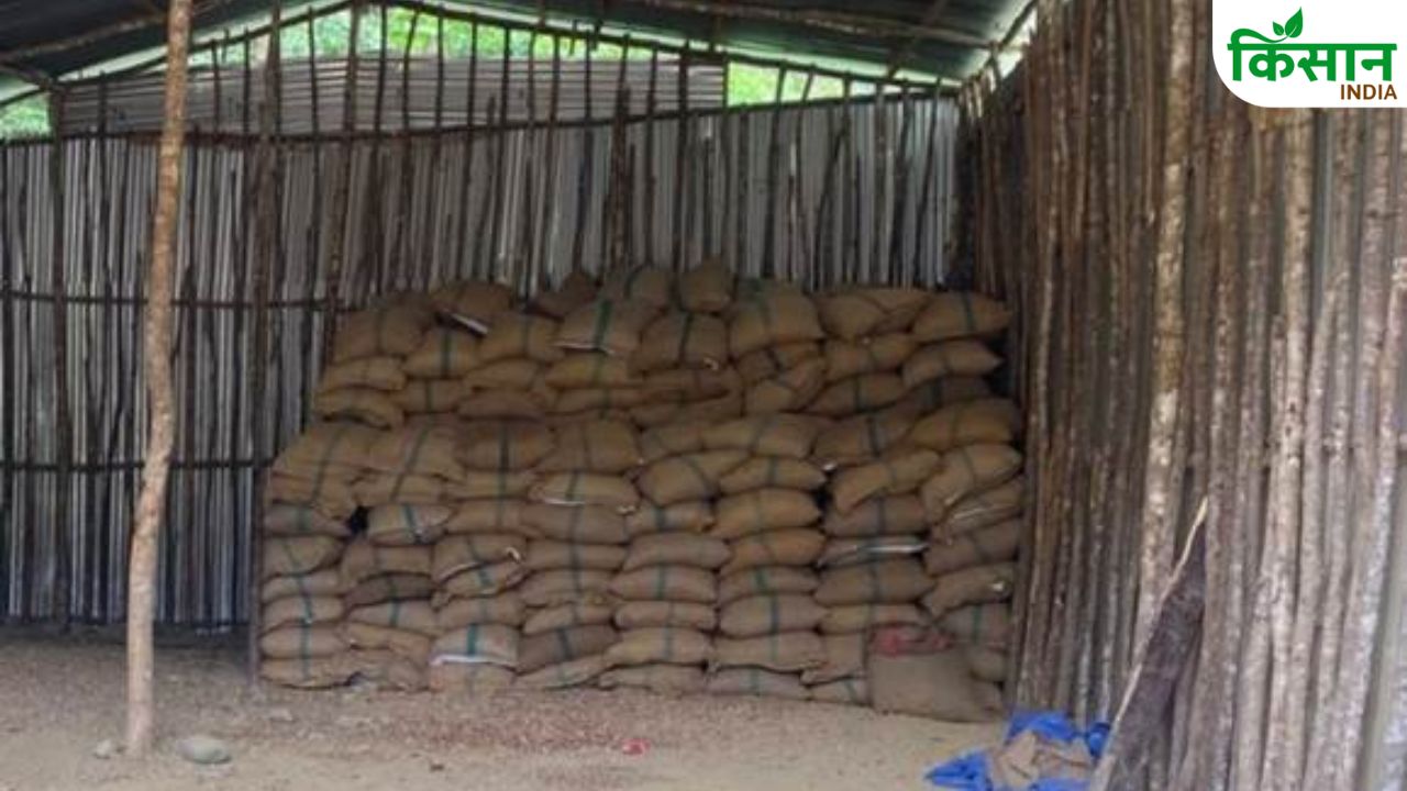 Foreign Betel Nut Smuggling From Myanmar Border Five Arrested