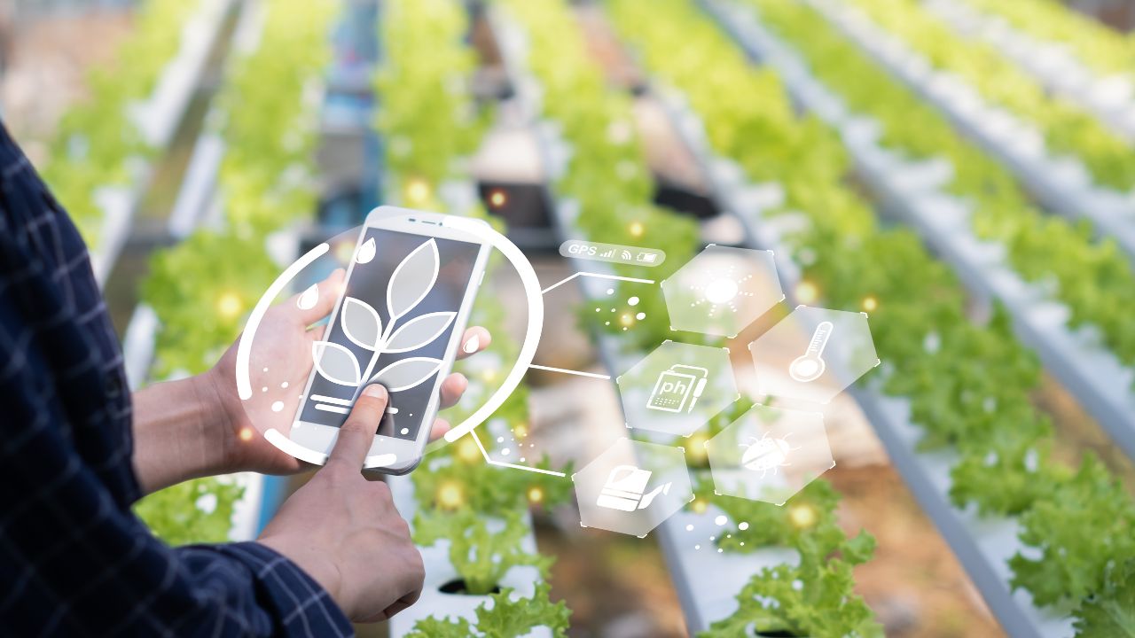 Itcs Smart Crop Doctor Will Instantly Treat 70 Types Of Crop Diseases