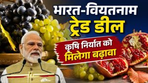 वियतनाम के लोग चखेंगे भारत के अंगूर-अनार का स्वाद, मत्स्य और पशु उत्पादों के निर्यात में तेजी