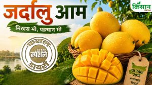 इस आम ने बढ़ाई बिहार की शान, स्वाद ऐसा कि विदेशों तक है डिमांड, GI टैग मिलने के बाद बना इंटरनेशनल स्टार इस आम ने बढ़ाई बिहार की शान, स्वाद ऐसा कि विदेशों तक है डिमांड, GI टैग मिलने के बाद बना इंटरनेशनल स्टार