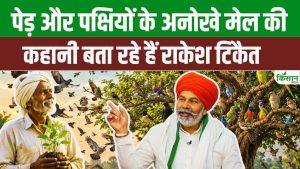 पेड़ और पक्षियों का अनोखा रिश्ता, फसलों की सुरक्षा में निभाते हैं भूमिका