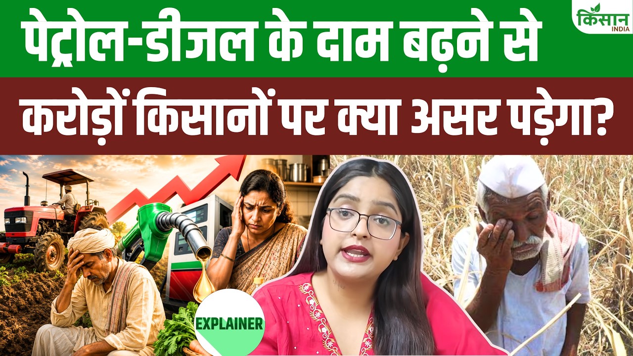 Fuel Prices Expected Make Vegetables Rations And Agriculture More Expensive Find Out Full Impact