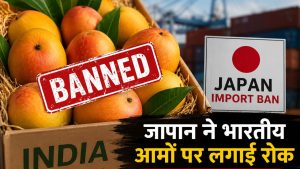 Mango Export Crisis: आखिर क्यों जापान ने लगाई भारतीय आमों पर रोक? समझिए क्या है पूरा विवाद Mango Export Crisis: आखिर क्यों जापान ने लगाई भारतीय आमों पर रोक? समझिए क्या है पूरा विवाद