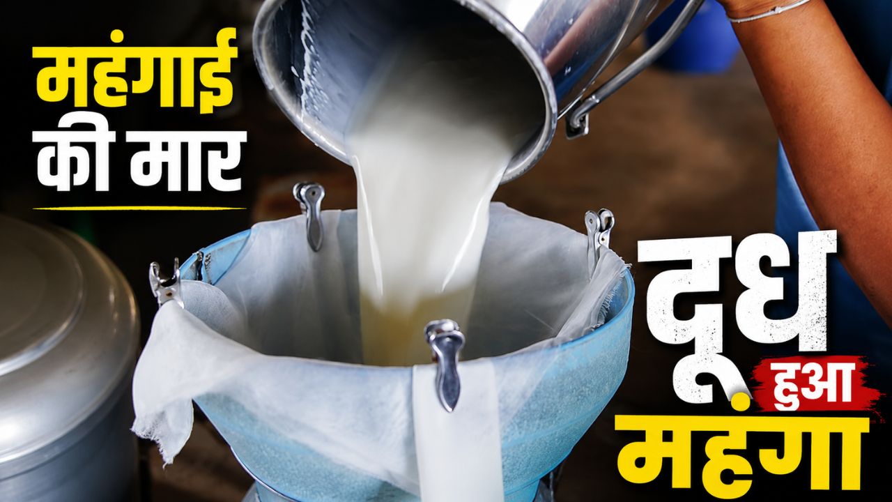 Kerala News Milma Hikes Milk Prices By Rs 4 Per Litre
