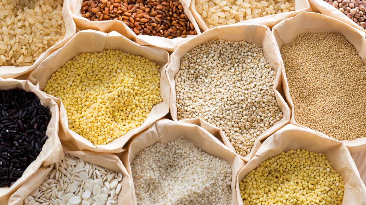 Up Government Millets Farming Scheme 2026 Free Seeds Mini Kit Up Kharif Millet Yojana Benefits