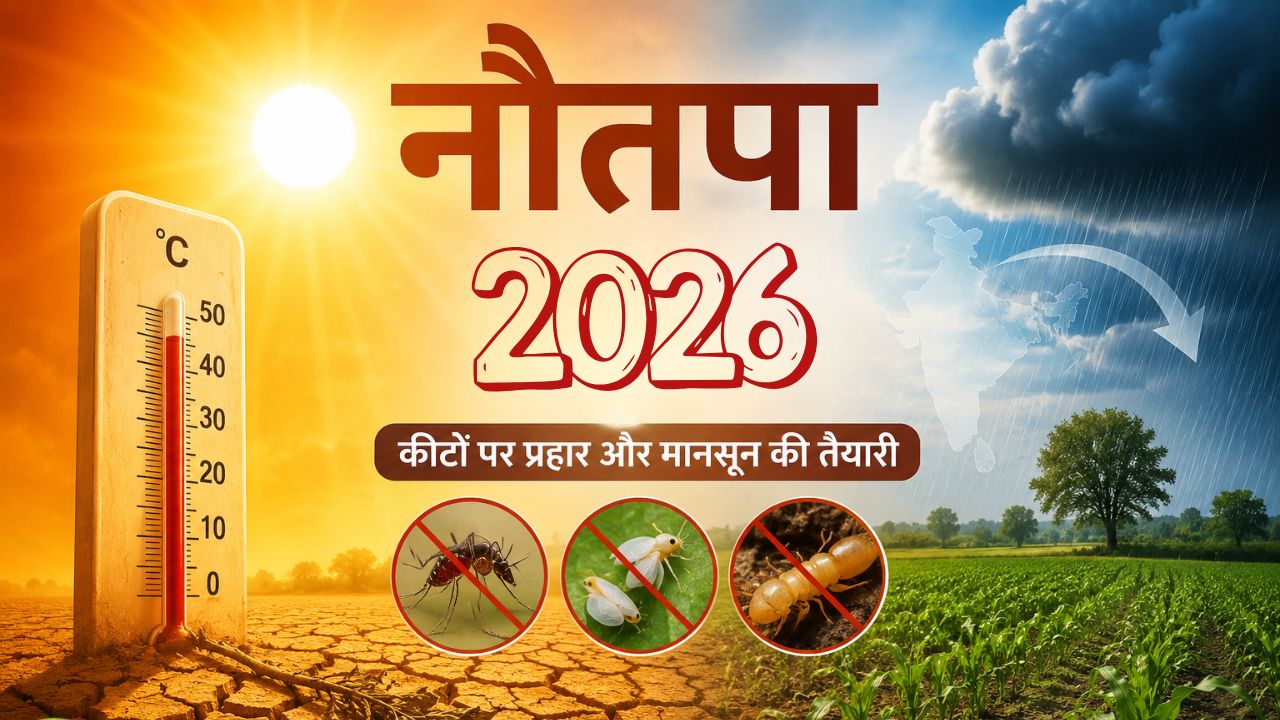 Nautapa 2026 Effects Monsoon Relation Scientific Benefits Explained Heat Wave Alert India