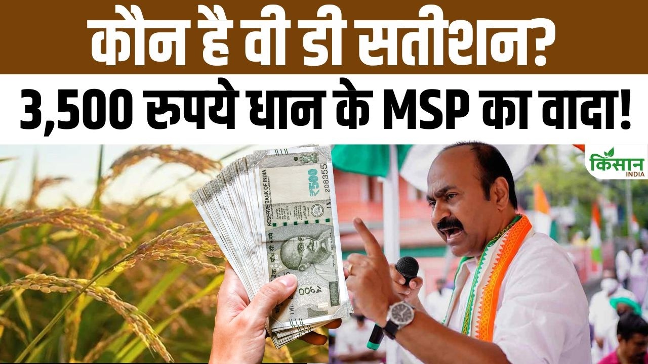Big Promise By V D Satheesan In Kerala Announcement Giving Msp Rs 3500 Farmers On Paddy
