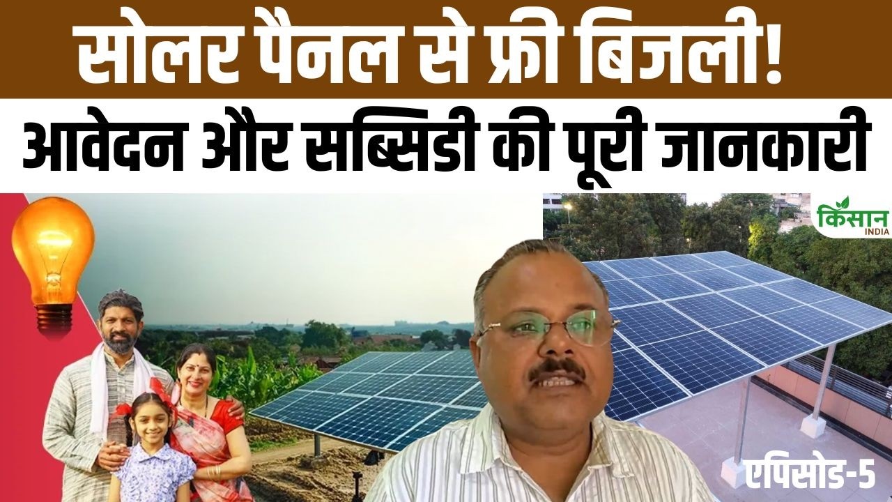 Big Opportunity Get Free Electricity And Subsidy Apply Online Easily For Pm Surya Ghar Yojana