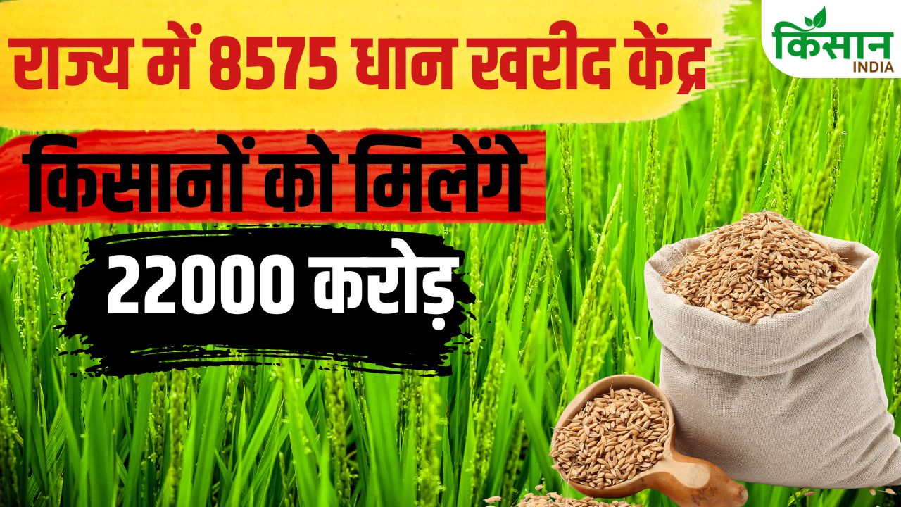 Telangana Procures 3 Million Tonnes Of Paddy Releases Rs 4520 Crore Into Farmers Accounts
