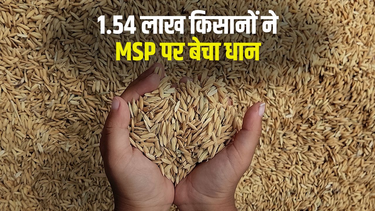 Telangana Over 1 Point 2 Million Tonnes Paddy Procured 1129 Crore Released Into Accounts