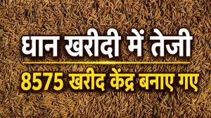 तेलंगाना में 40 लाख टन धान की खरीदी, किसानों के खातों में पहुंचे 6462 करोड़ रुपये तेलंगाना में 40 लाख टन धान की खरीदी, किसानों के खातों में पहुंचे 6462 करोड़ रुपये